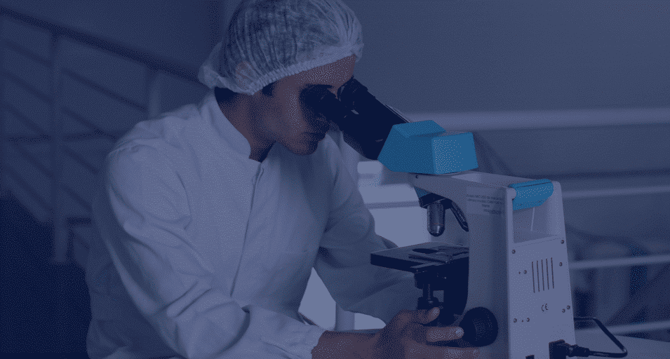 Life Sciences